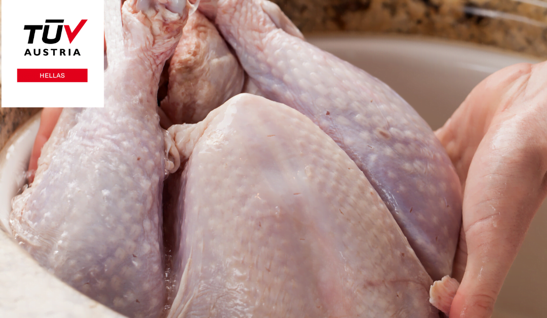 Campylobacter & Salmonella Ένας κίνδυνος στη κουζίνα μας