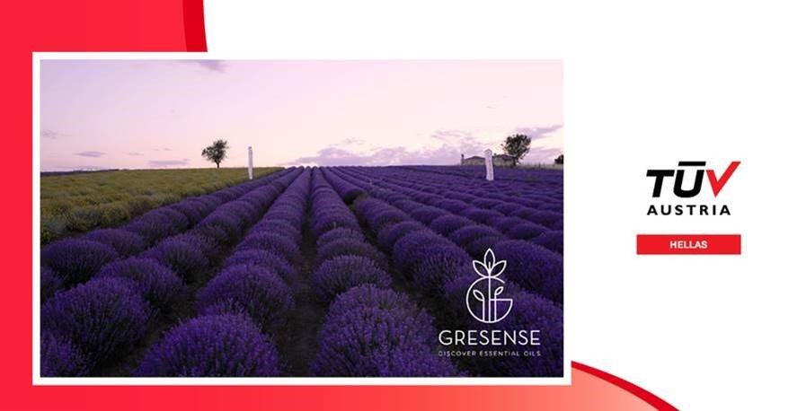 Η TÜV AUSTRIA Hellas πιστοποίησε την εταιρεία GRESENSE με το πρότυπο EN ISO 9001:2015