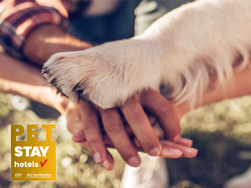 Pet Stay: «γονείς» και κατοικίδια μπορούν πια να ταξιδεύουν και να μένουν μαζί με την υπογραφή της TÜV AUSTRIA Hellas 