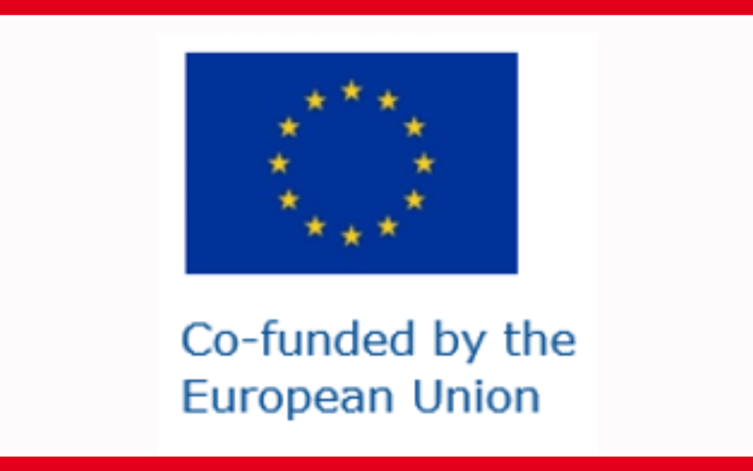 Launch of MICROIDEA – “MICRO-credentials: Identifying, DEveloping, testing and Assessing innovative approaches” European Project.