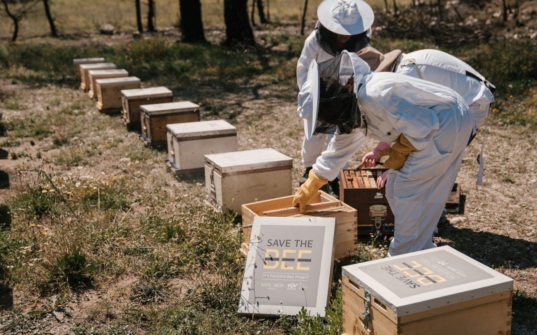 TÜV AUSTRIA Hellas and SANI/IKOS Hospitality Group: Major Bee Adoption Initiative for the Restoration of Mount Parnitha’s Biodiversity after Fires