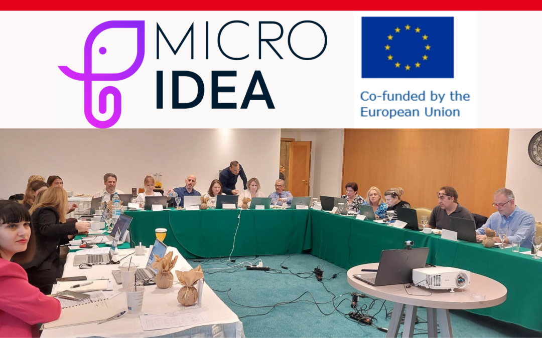 First meeting of the partners of MICROIDEA – “MICRO-credentials: Identifying, DEveloping, testing and Assessing innovative approaches” European Project.