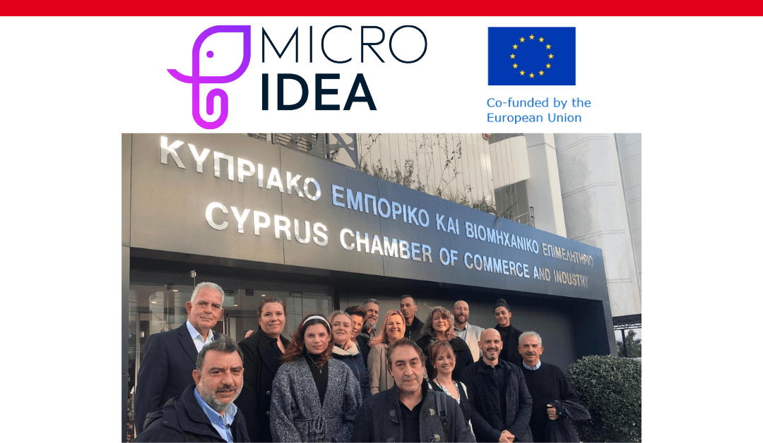 Second partners’ meeting for MICROIDEA project